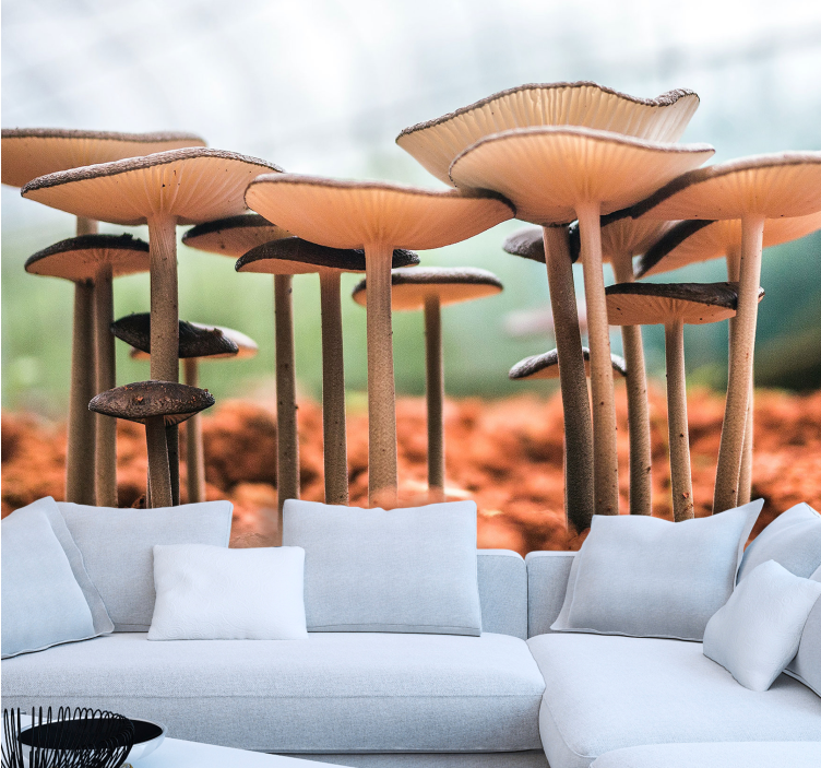 Fototapeta scena skupiska grzybów - TenStickers