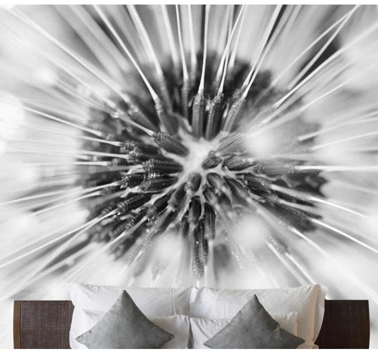 Fototapeta w dmuchawce pękanie nasion mniszka lekarskiego - TenStickers