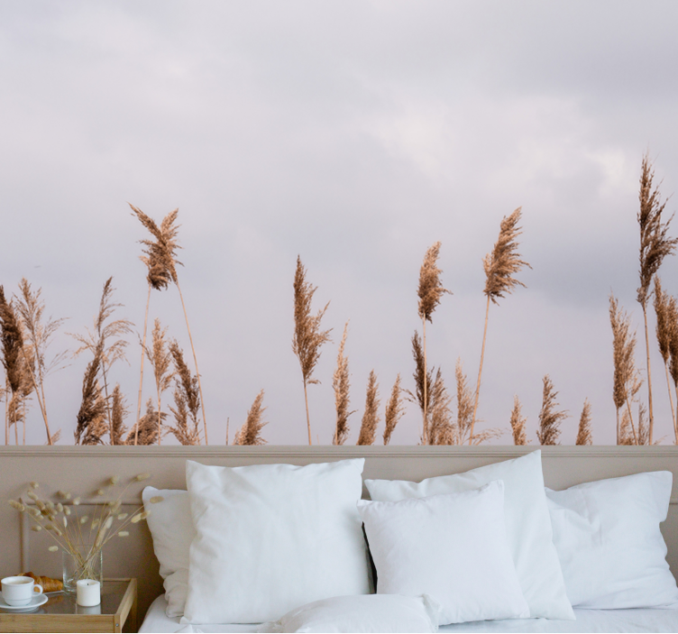 Fototapeta w drzewa siluety wysokiej trawy - TenStickers