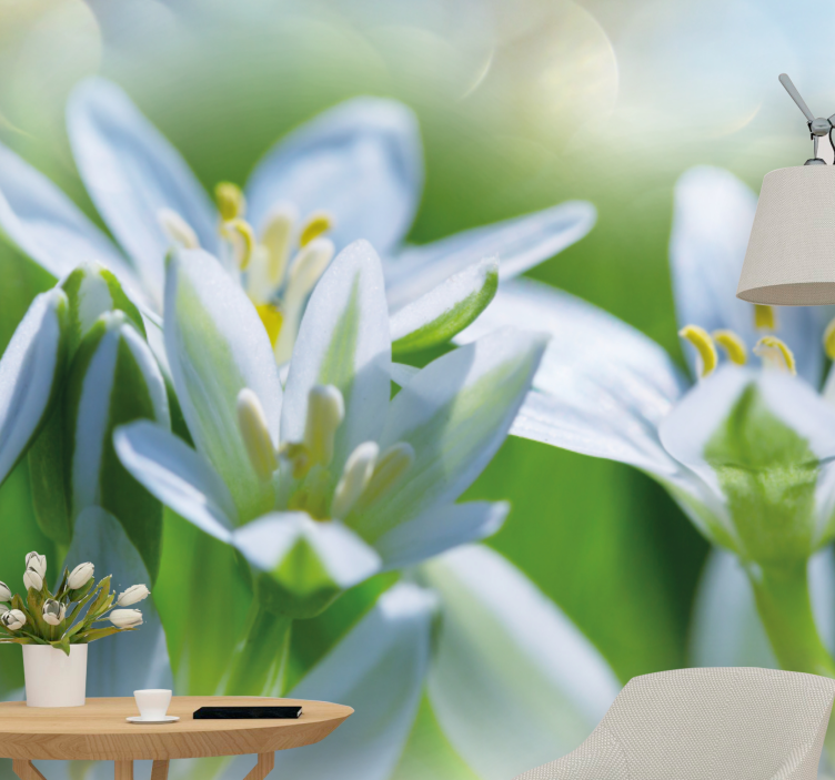 Fototapeta w kwiaty delikatne białe kwiaty - TenStickers