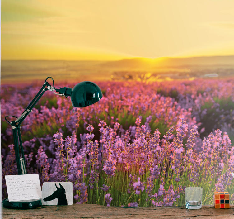 Fototapeta w kwiaty lawendowe Łąki o zmierzchu - TenStickers