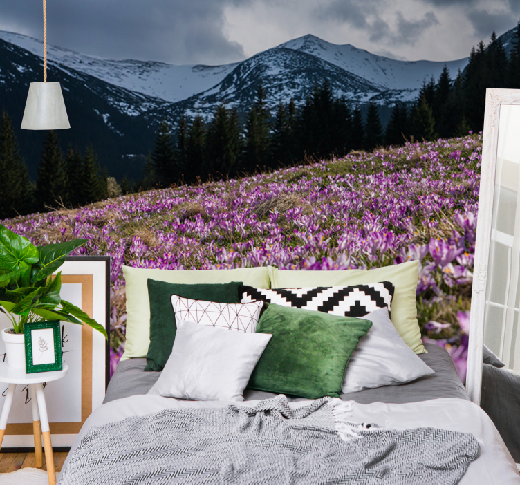 Fototapeta w kwiaty pole kwiatów krokusów - TenStickers