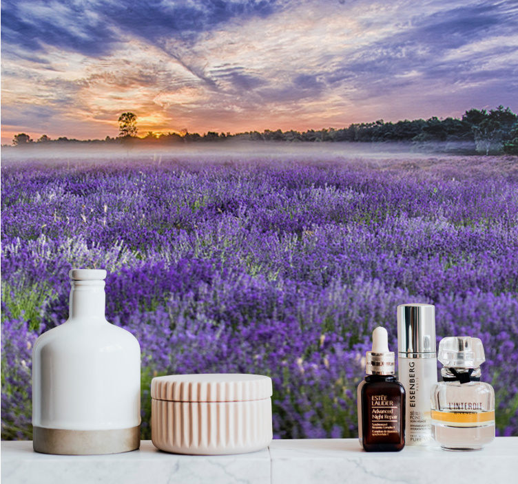 Fototapeta w kwiaty pole lawendy o zmierzchu - TenStickers