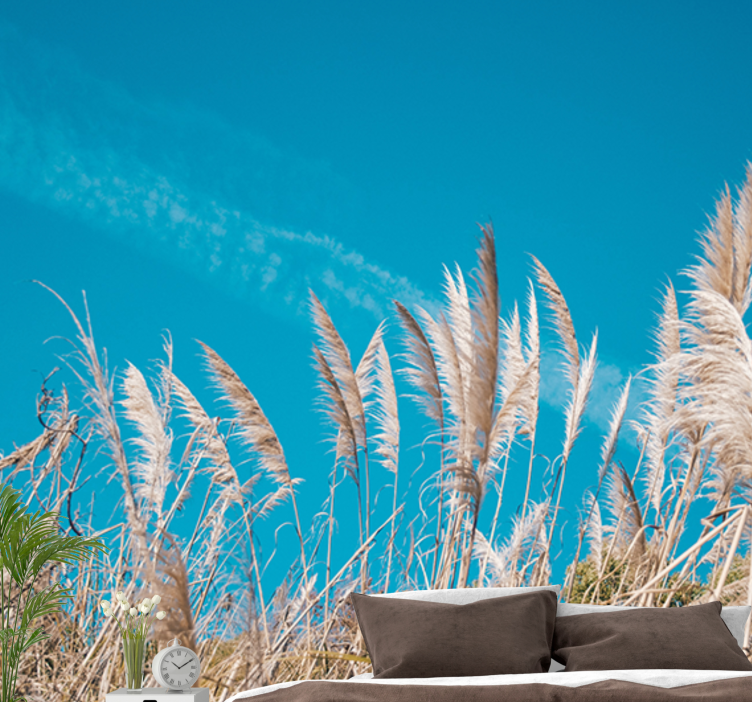 Fototapeta w kwiaty spokój traw pampas - TenStickers