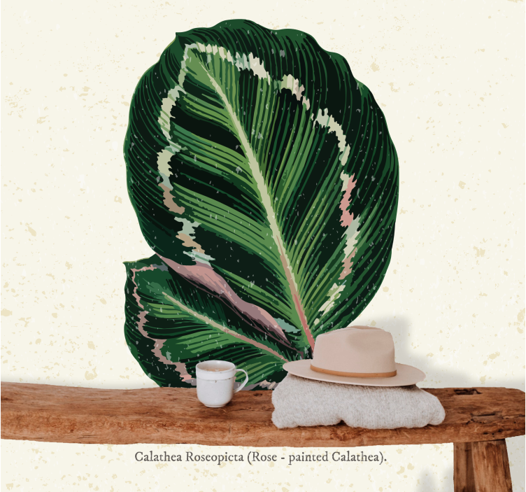 Fototapeta w kwiaty wyświetlenie liści calathea - TenStickers