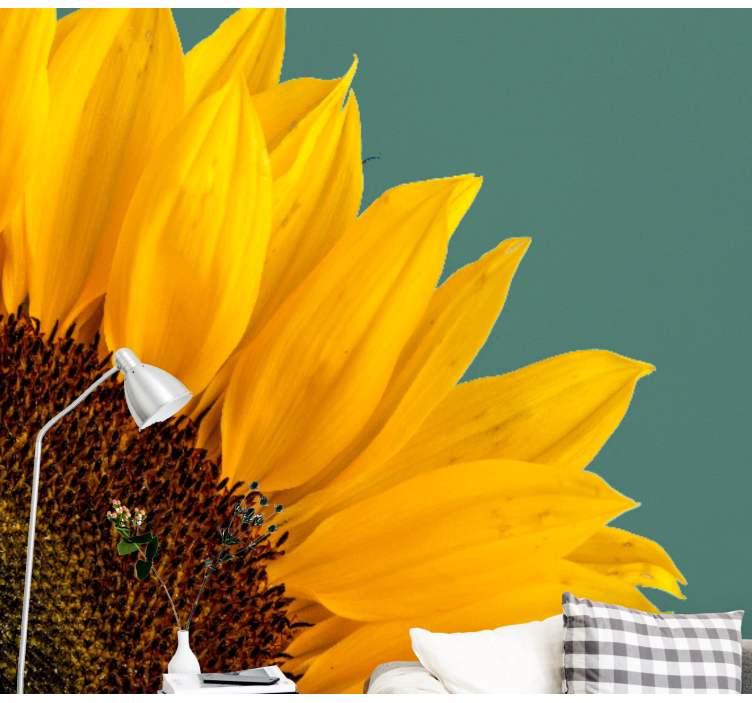 Fototapeta w kwiaty zbliżenie na słonecznik - TenStickers