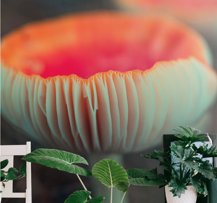 Fototapeta w maki eleganckie kwiaty maku - TenStickers