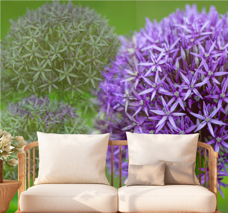 Fototapeta w maki w fioletowe kwiaty - TenStickers