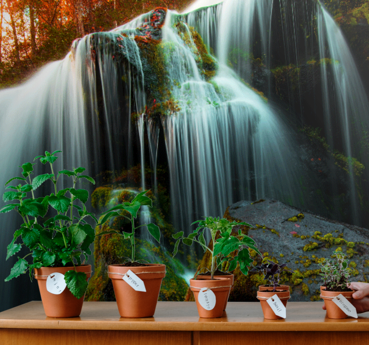 Fototapeta wodospad delikatnie spływająca woda - TenStickers