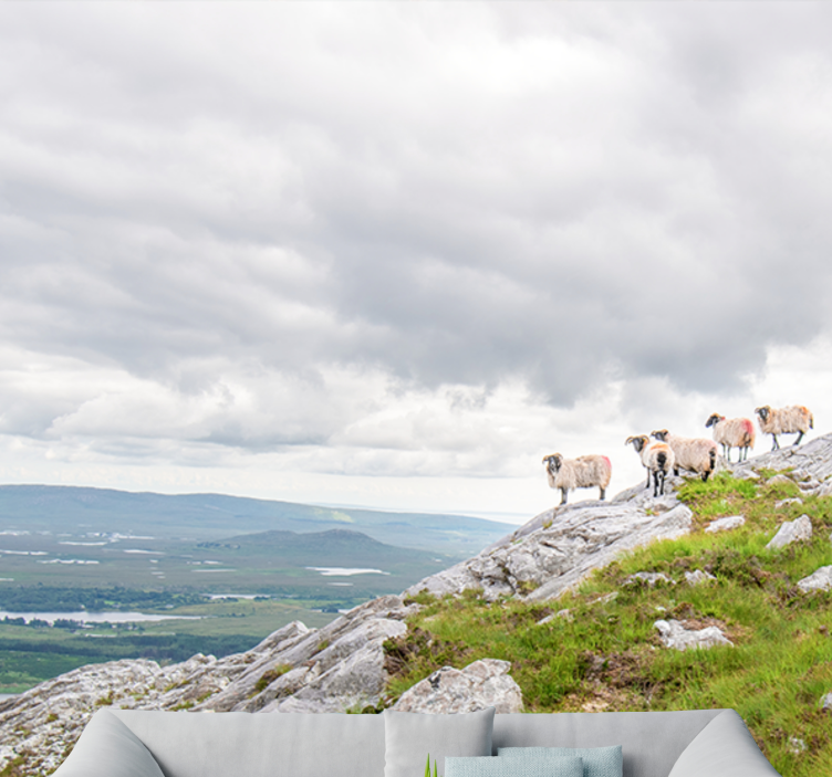 Fototapeta ze zwierzętami owce na zboczach - TenStickers