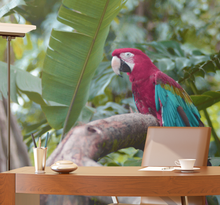 Fototapeta ze zwierzętami papuga arara w kolorach - TenStickers