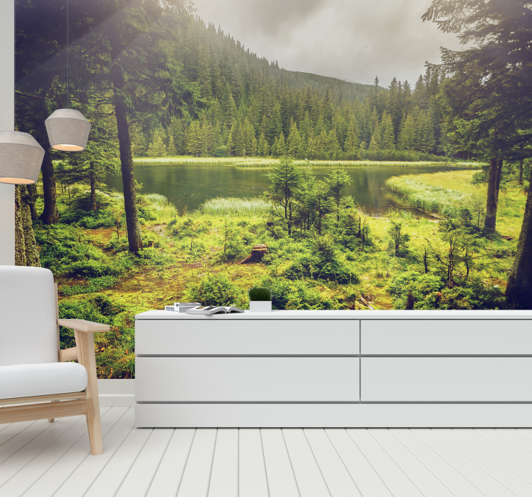 Fototapeta zielone drzewa - TenStickers