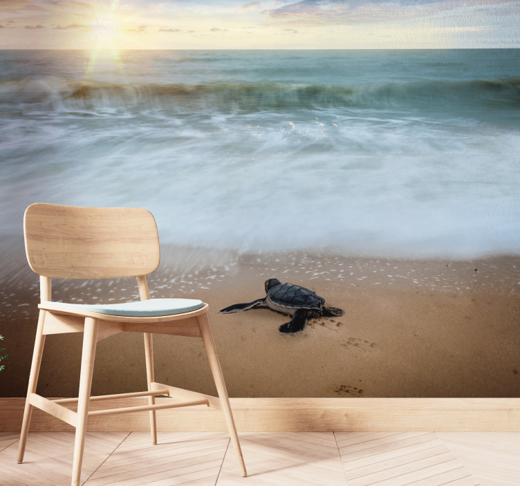 Fototapeta żółw na wybrzeżu - TenStickers