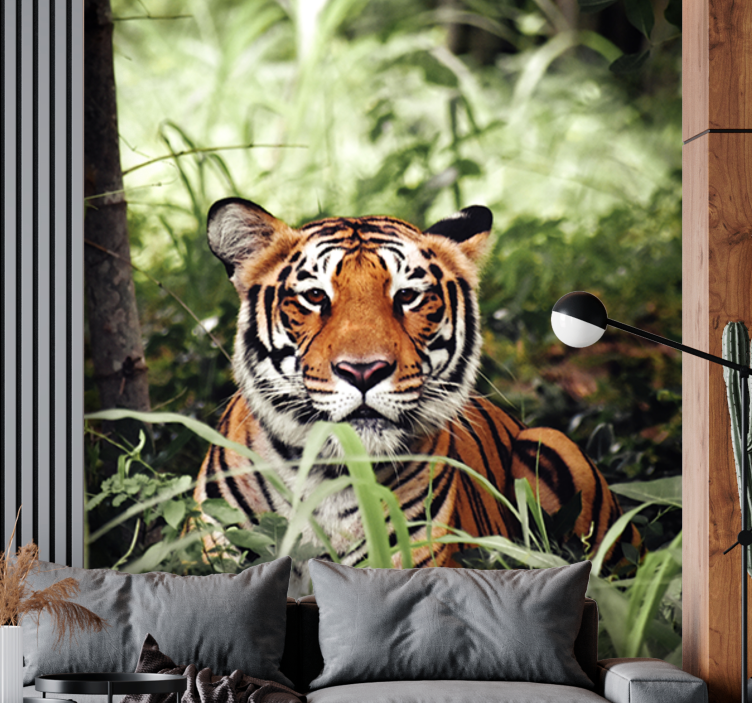 Fototapeta zwierzęta doświadczenie z tygrysem - TenStickers