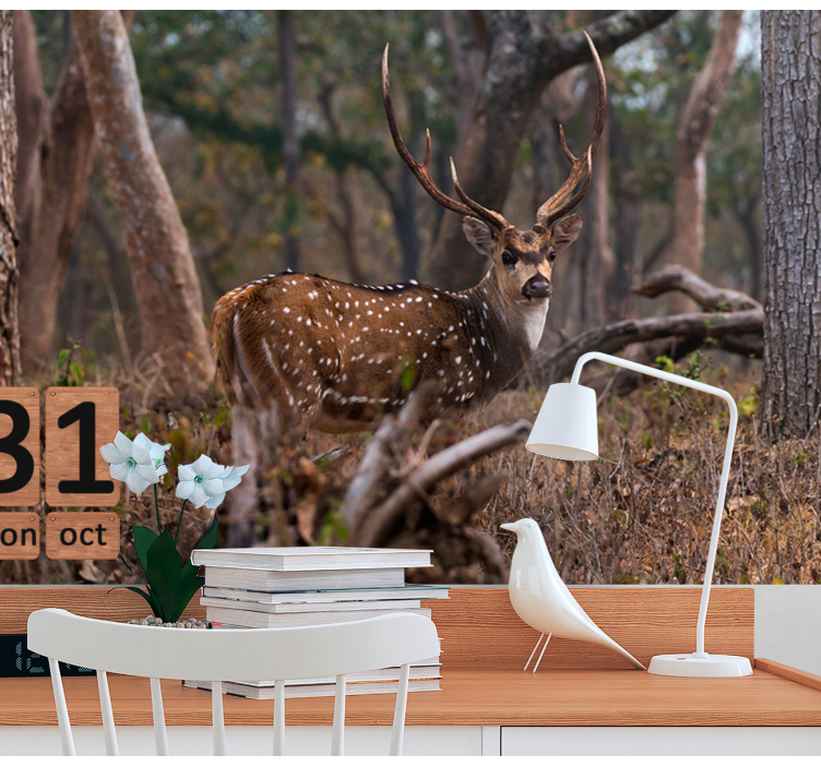 Fototapeta zwierzęta elegancka Łania w cętki - TenStickers