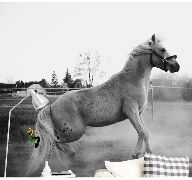 Fototapeta zwierzęta galopujący kucyk - TenStickers