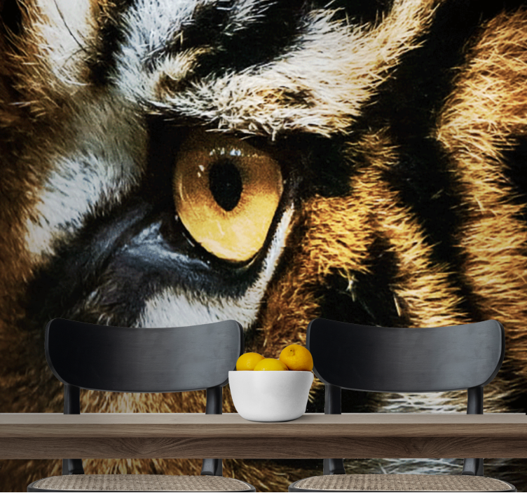 Fototapeta zwierzęta intensywne spojrzenie tygrysa - TenStickers