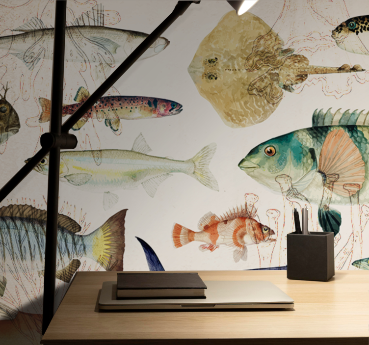 Fototapeta zwierzęta kolekcja Życie morskie - TenStickers