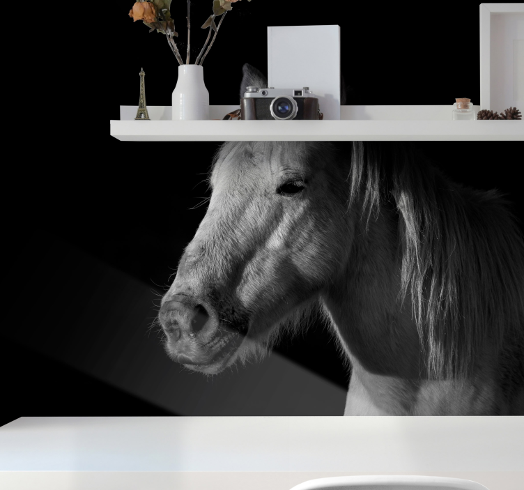 Fototapeta zwierzęta majestatyczny portret konia - TenStickers