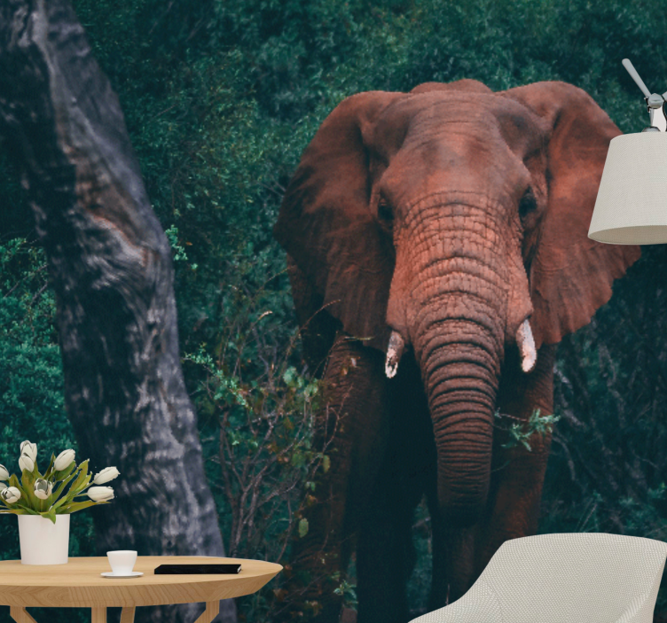 Fototapeta zwierzęta obecność majestatycznego słonia - TenStickers