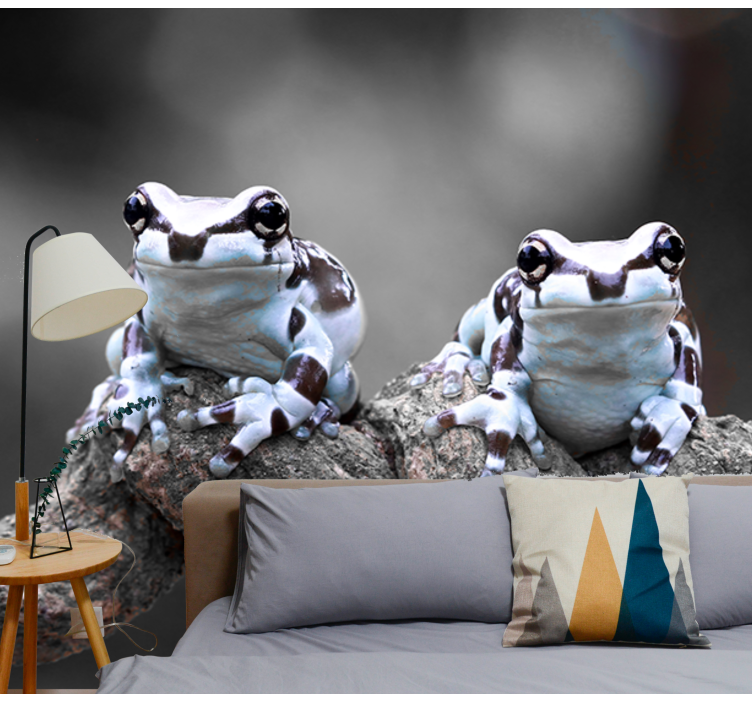 Fototapeta zwierzęta para żab drzewnych - TenStickers