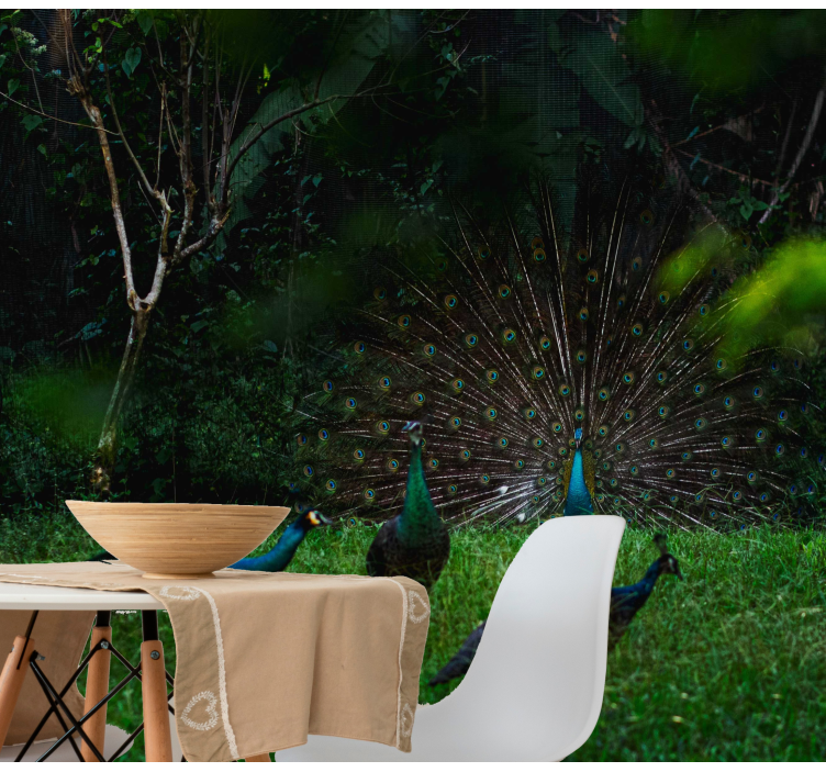 Fototapeta zwierzęta paw prezentujący pióra - TenStickers