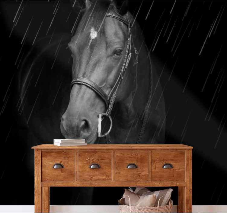 Fototapeta zwierzęta portret regalnego konia - TenStickers