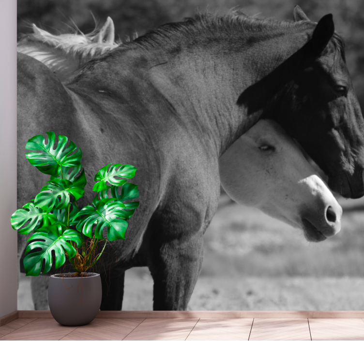 Fototapeta zwierzęta przyjaźń z koniem - TenStickers