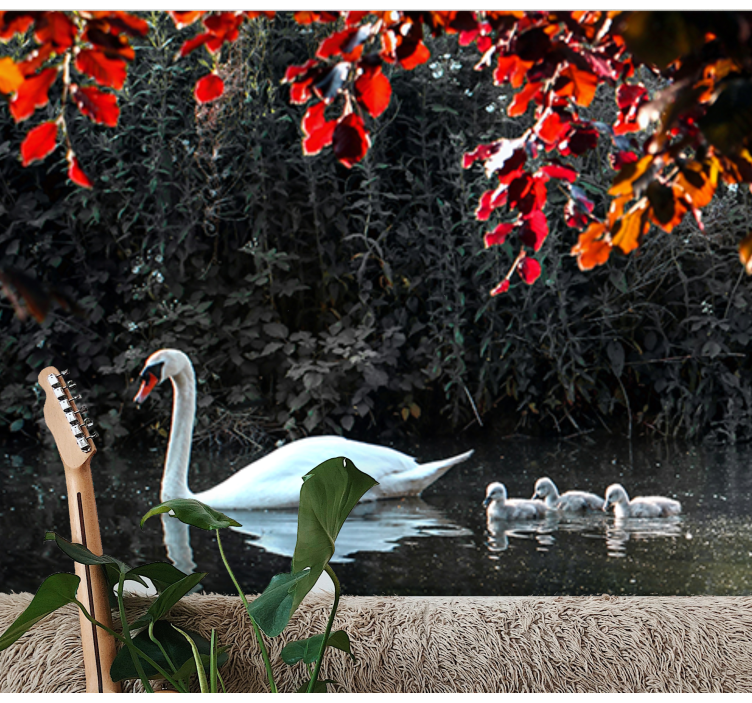 Fototapeta zwierzęta rodzina eleganckich łabędzi - TenStickers