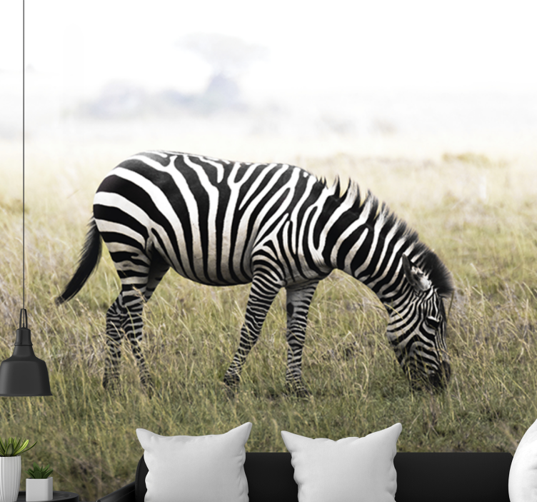 Fototapeta zwierzęta zebra pasąca się spokojnie - TenStickers