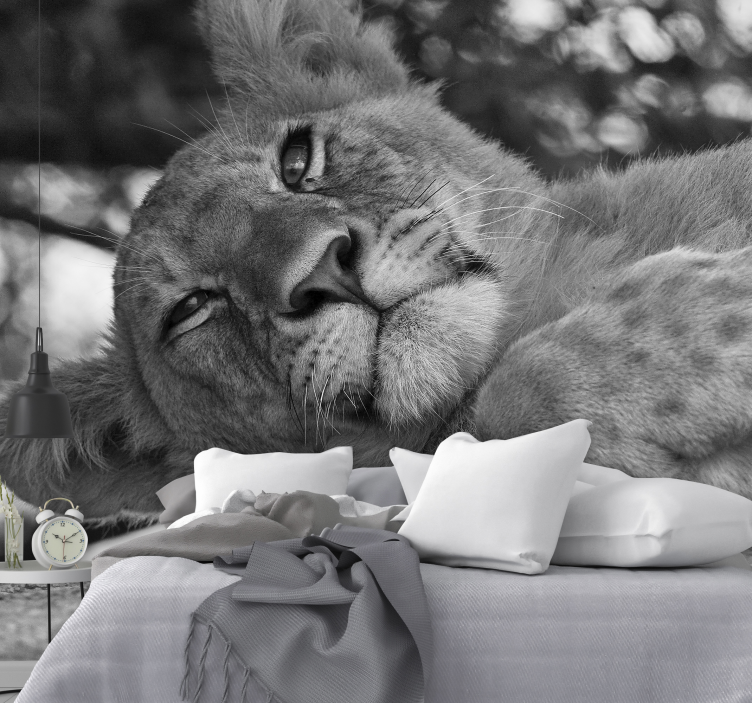 Tapeta lwy w majestatycznym relaksie - TenStickers