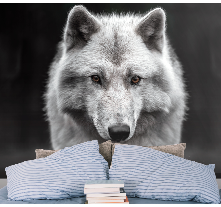 Fototapeta biały wilk - TenStickers
