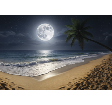 Fototapeta morze księżyc w pełni nad oceanem - TenStickers