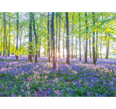 Fototapeta las w nowoczesnym stylu inspirowanym naturą - TenStickers