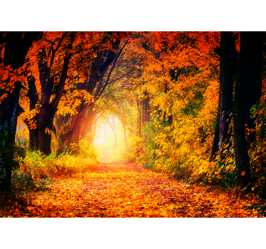 Fototapeta jesienna ścieżka natura las - TenStickers