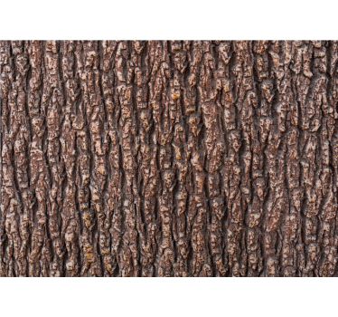 Fototapeta kamienie z teksturą kory drzewa - TenStickers