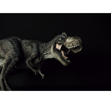 Fototapeta zwierzęta dinozaury i rośliny - TenStickers
