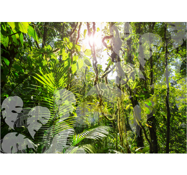 Fototapeta zielony las amazoński - TenStickers