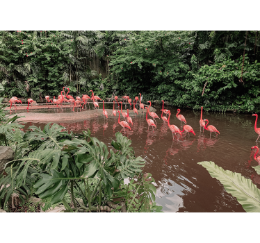 Fototapeta zwierzęta flamingi nad wodą - TenStickers