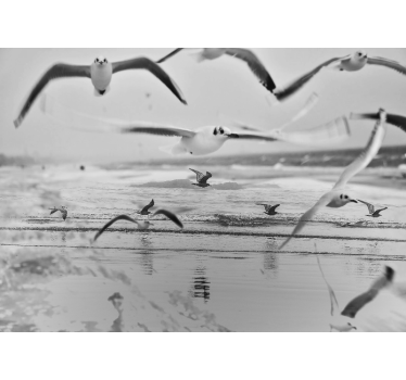 Fototapeta latające mewy na plaży - TenStickers