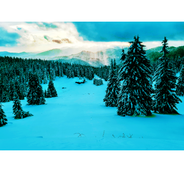 Fototapeta krajobraz śnieżny las sosnowy - TenStickers