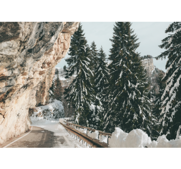 Fototapeta krajobraz zimowy pejzaż sosnowy - TenStickers