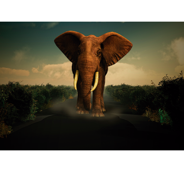 Fototapeta zwierzęta elefant majestatyczny - TenStickers
