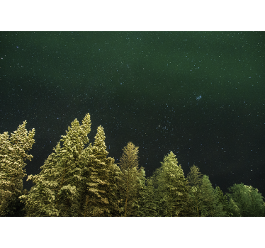 Fototapeta las gwiaździsty las sosnowy - TenStickers