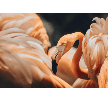 Fototapeta ze zwierzętami elegancka scena z flamingami - TenStickers