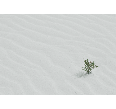Fototapeta natura piasek i zieleń - TenStickers