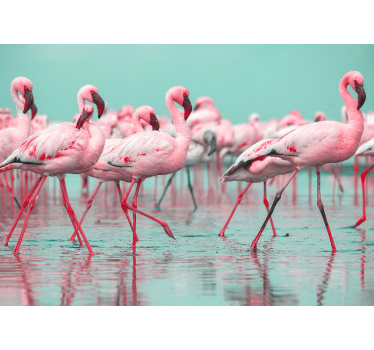 Fototapeta zwierzęta stado flamingów na spacerze - TenStickers