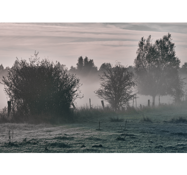 Fototapeta natura mglista leśna sceneria - TenStickers