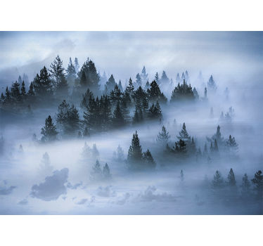 Fototapeta natura zasłonięte wiecznie zielone lasy - TenStickers