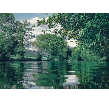 Fototapeta natura spokojny krajobraz rzeki - TenStickers